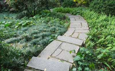 Ożyw swoją przestrzeń w ogrodzie – postaw na sprawdzone ścieżki