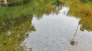 Dowiedz się, jak studnia chłonna chroni kostkę brukową, fundamenty i działkę przed wodą opadową. Sprawdź koszty, przepisy i zalety.