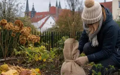 Przygotowanie ogrodu do zimy w Gdańsku – najważniejsze prace